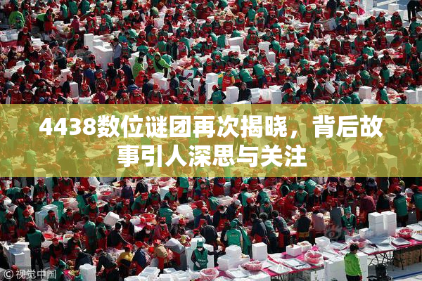 4438数位谜团再次揭晓，背后故事引人深思与关注