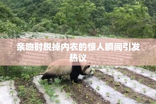 亲吻时脱掉内衣的惊人瞬间引发热议