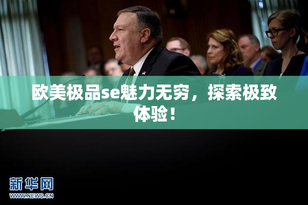 欧美极品se魅力无穷，探索极致体验！
