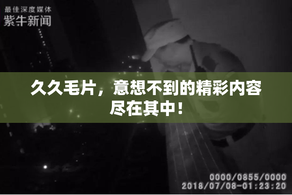 久久毛片，意想不到的精彩内容尽在其中！