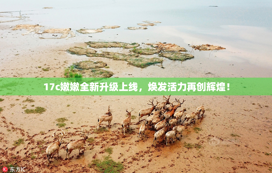 17c嫩嫩全新升级上线，焕发活力再创辉煌！