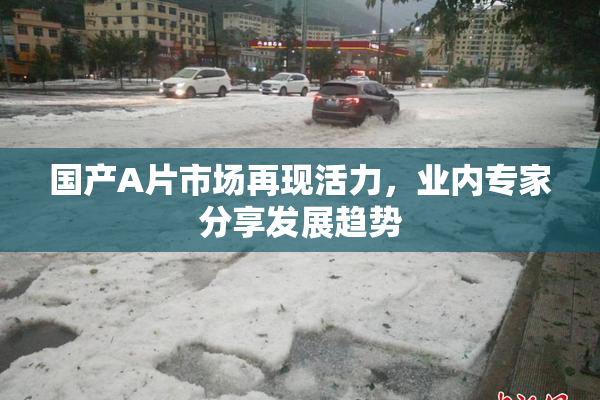 国产A片市场再现活力，业内专家分享发展趋势