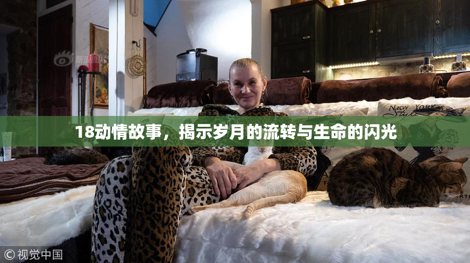 18动情故事，揭示岁月的流转与生命的闪光