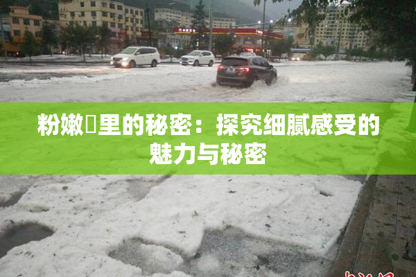 粉嫩泬里的秘密：探究细腻感受的魅力与秘密