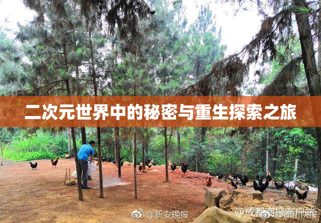 二次元世界中的秘密与重生探索之旅