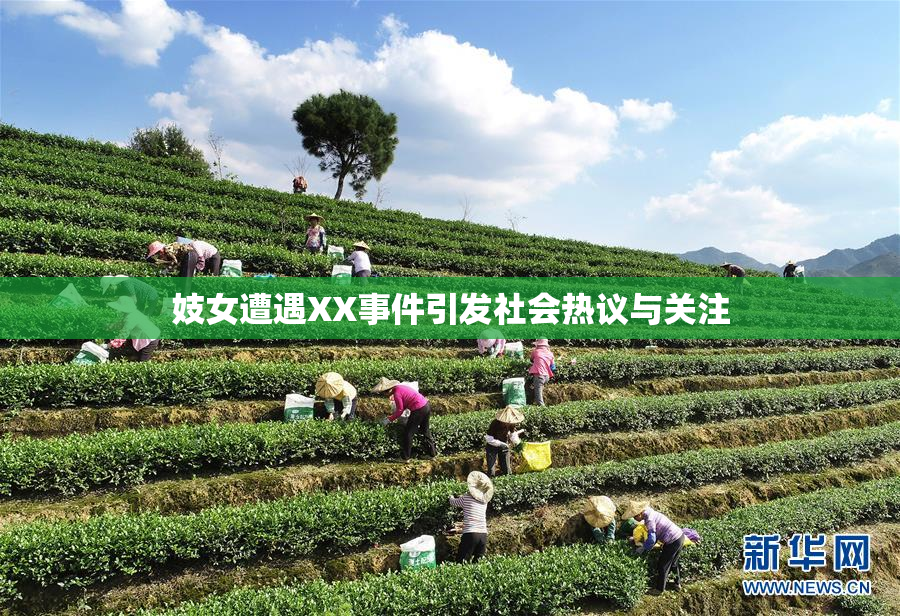 妓女遭遇XX事件引发社会热议与关注