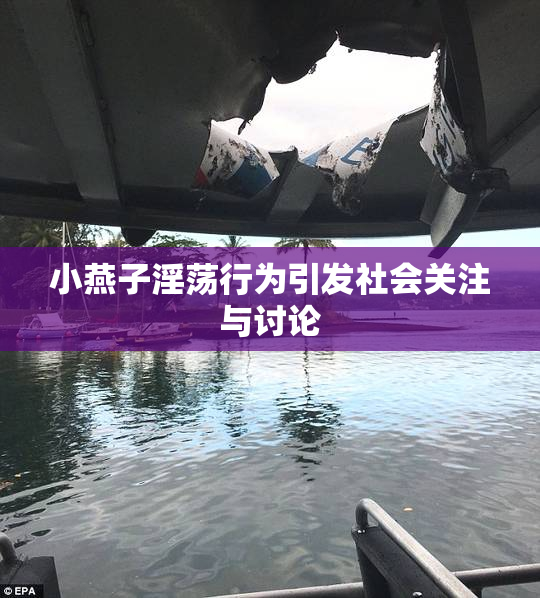 小燕子淫荡行为引发社会关注与讨论