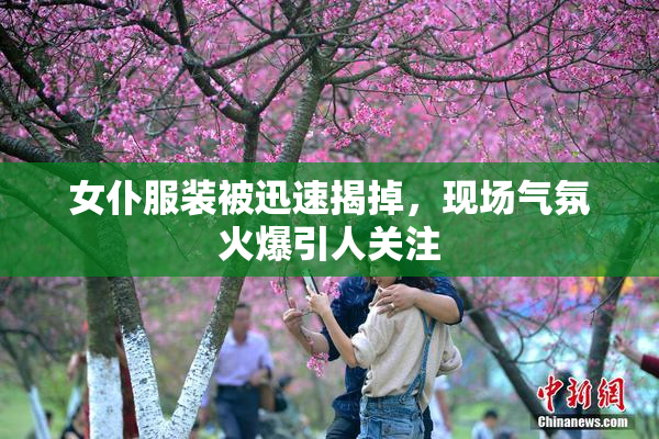 女仆服装被迅速揭掉，现场气氛火爆引人关注