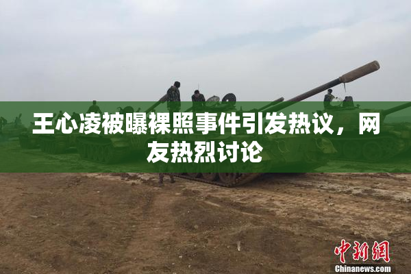 王心凌被曝裸照事件引发热议，网友热烈讨论