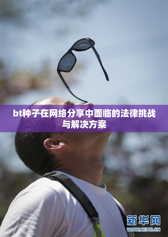 bt种子在网络分享中面临的法律挑战与解决方案