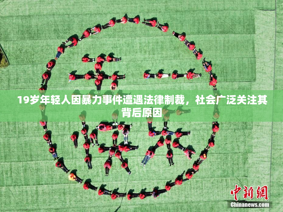 19岁年轻人因暴力事件遭遇法律制裁，社会广泛关注其背后原因