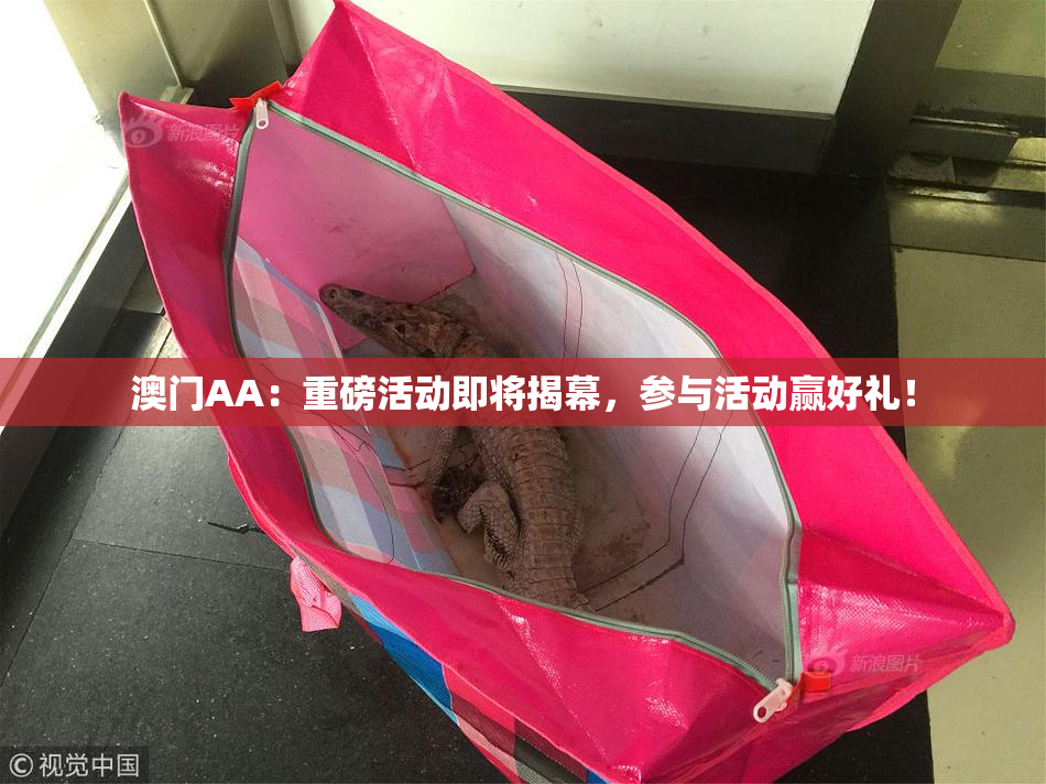 澳门AA：重磅活动即将揭幕，参与活动赢好礼！