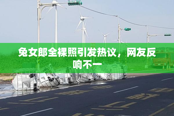 兔女郎全裸照引发热议，网友反响不一