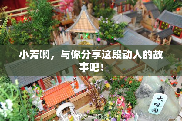 小芳啊，与你分享这段动人的故事吧！