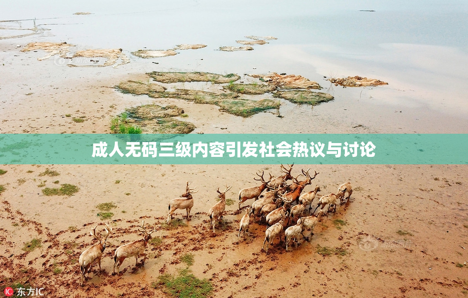成人无码三级内容引发社会热议与讨论