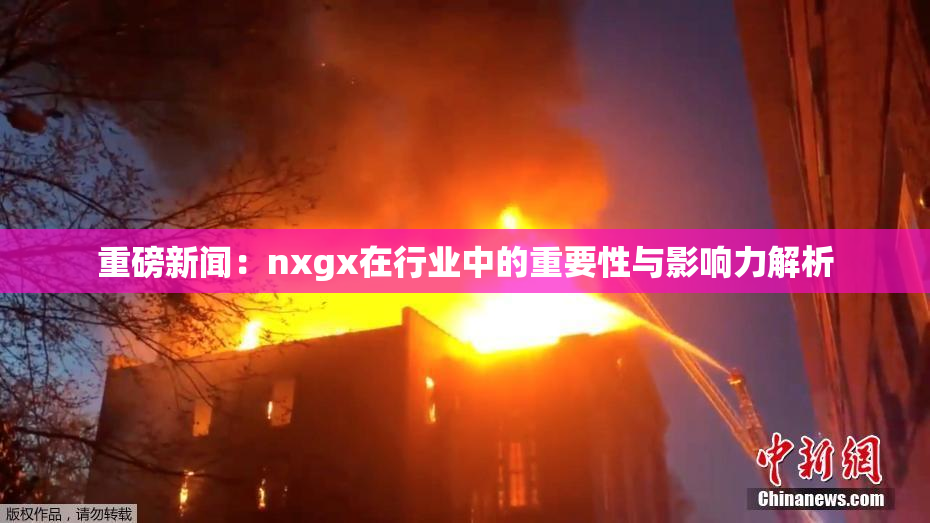 重磅新闻：nxgx在行业中的重要性与影响力解析