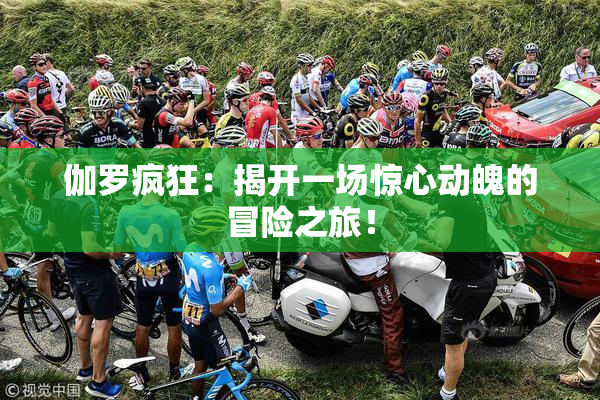 伽罗疯狂：揭开一场惊心动魄的冒险之旅！