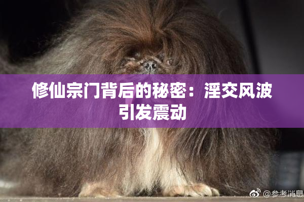 修仙宗门背后的秘密：淫交风波引发震动