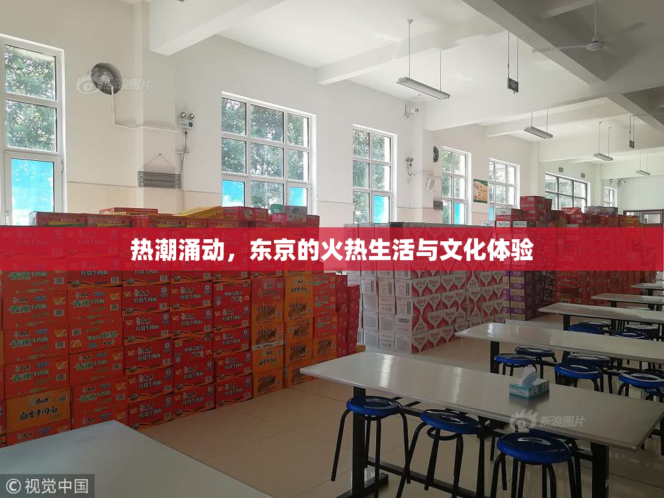 热潮涌动，东京的火热生活与文化体验