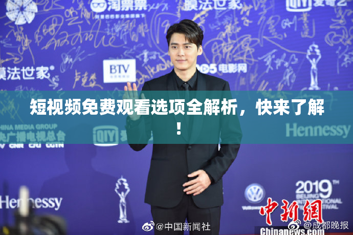 短视频免费观看选项全解析，快来了解！