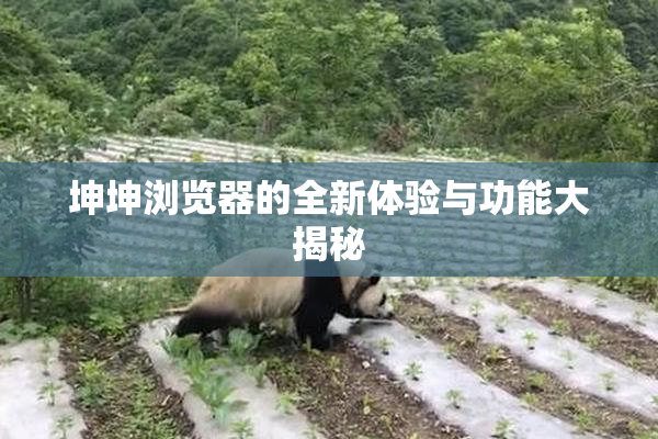 坤坤浏览器的全新体验与功能大揭秘