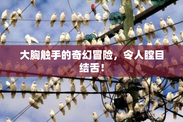 大胸触手的奇幻冒险，令人瞠目结舌！
