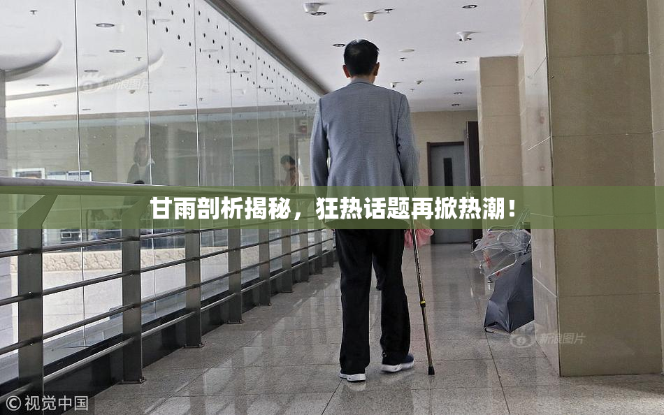 甘雨剖析揭秘，狂热话题再掀热潮！