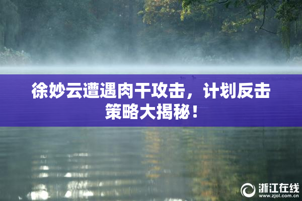 徐妙云遭遇肉干攻击，计划反击策略大揭秘！