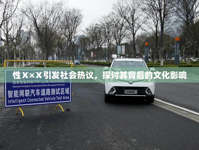 性Ⅹ×Ⅹ引发社会热议，探讨其背后的文化影响