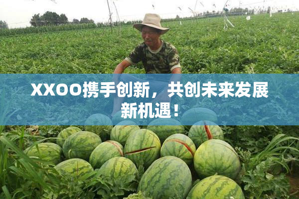 XXOO携手创新，共创未来发展新机遇！