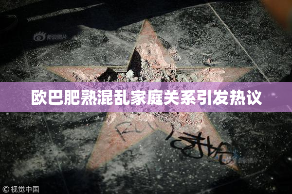 欧巴肥熟混乱家庭关系引发热议