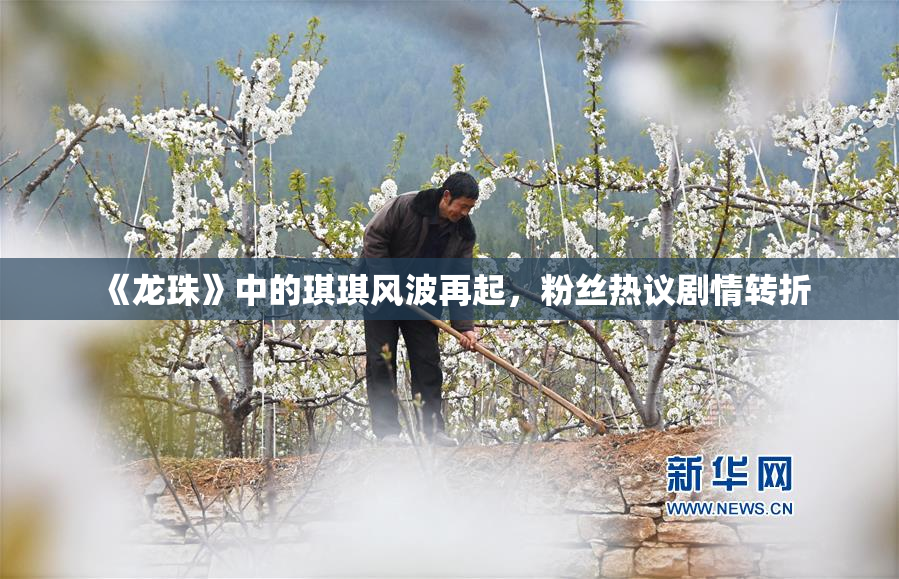《龙珠》中的琪琪风波再起，粉丝热议剧情转折