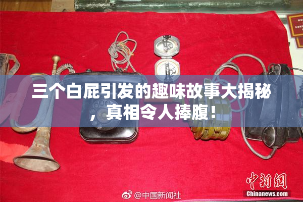 三个白屁引发的趣味故事大揭秘，真相令人捧腹！