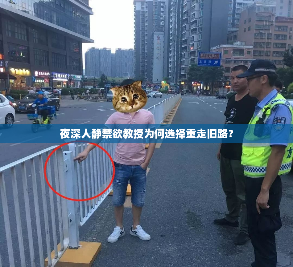 夜深人静禁欲教授为何选择重走旧路？