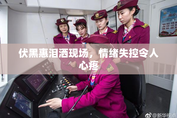 伏黑惠泪洒现场，情绪失控令人心疼