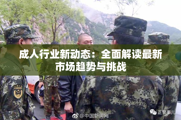 成人行业新动态：全面解读最新市场趋势与挑战