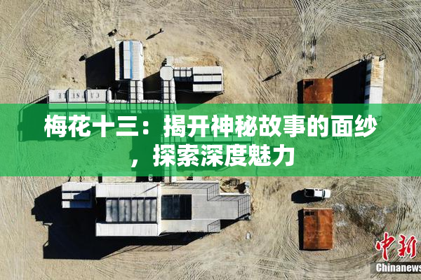梅花十三：揭开神秘故事的面纱，探索深度魅力