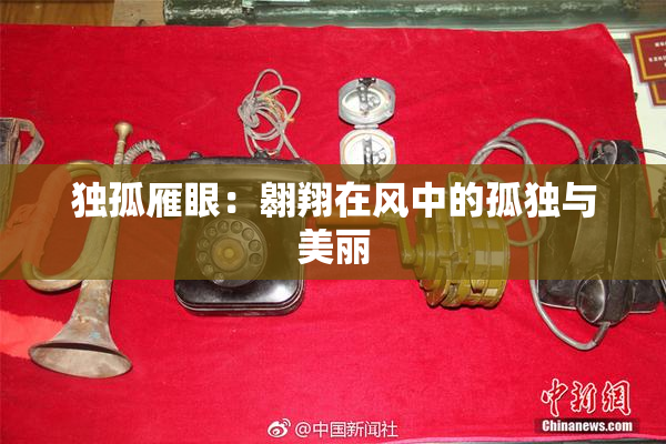 独孤雁眼：翱翔在风中的孤独与美丽