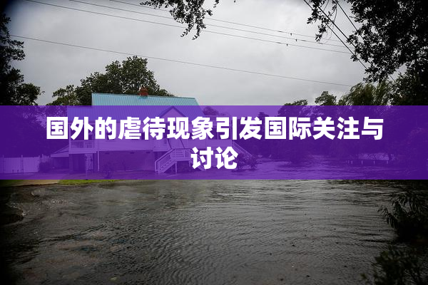 国外的虐待现象引发国际关注与讨论