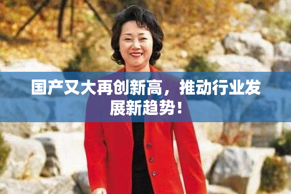 国产又大再创新高，推动行业发展新趋势！