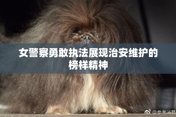 女警察勇敢执法展现治安维护的榜样精神