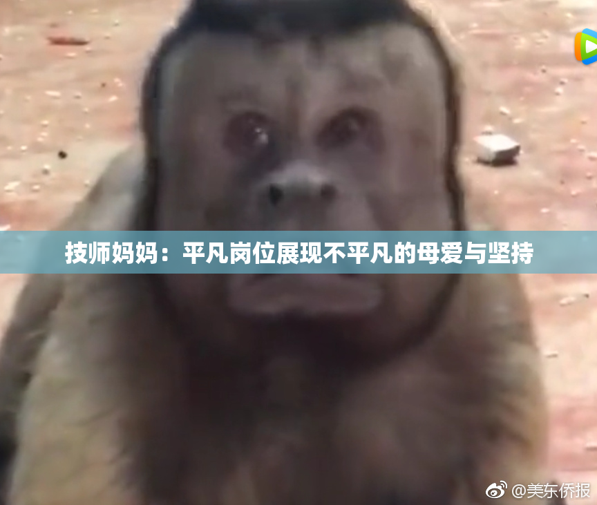 技师妈妈：平凡岗位展现不平凡的母爱与坚持