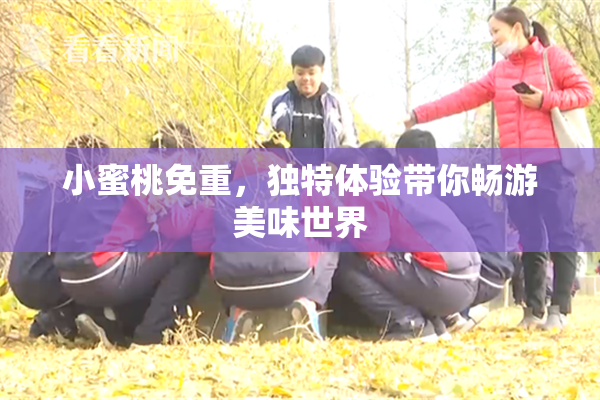 小蜜桃免重，独特体验带你畅游美味世界