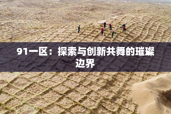 91一区：探索与创新共舞的璀璨边界