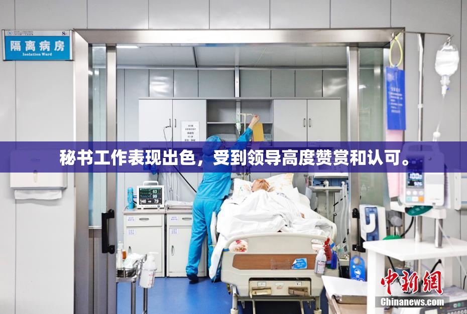 秘书工作表现出色，受到领导高度赞赏和认可。