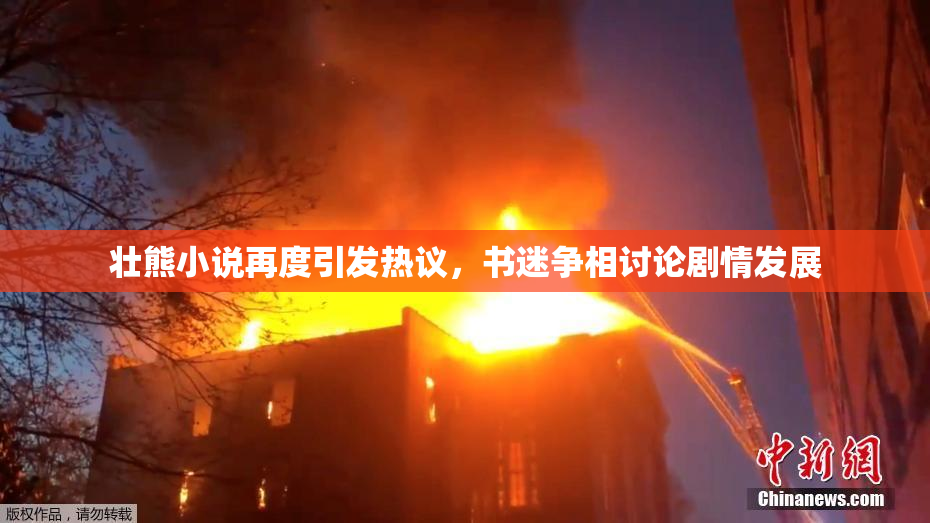 壮熊小说再度引发热议，书迷争相讨论剧情发展