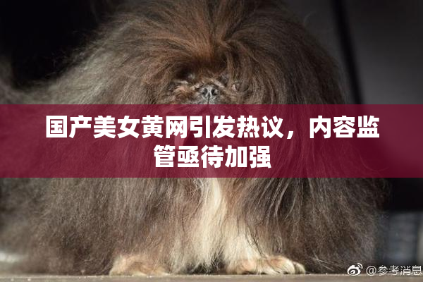 国产美女黄网引发热议，内容监管亟待加强