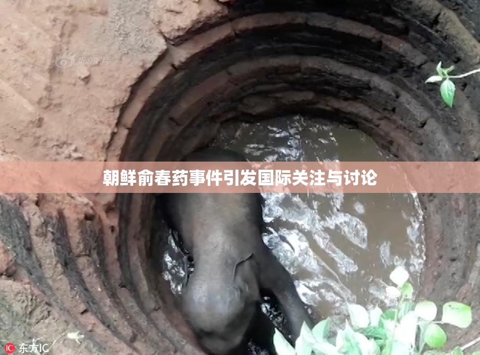 朝鲜俞春药事件引发国际关注与讨论