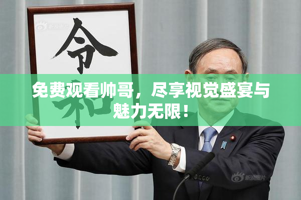 免费观看帅哥，尽享视觉盛宴与魅力无限！