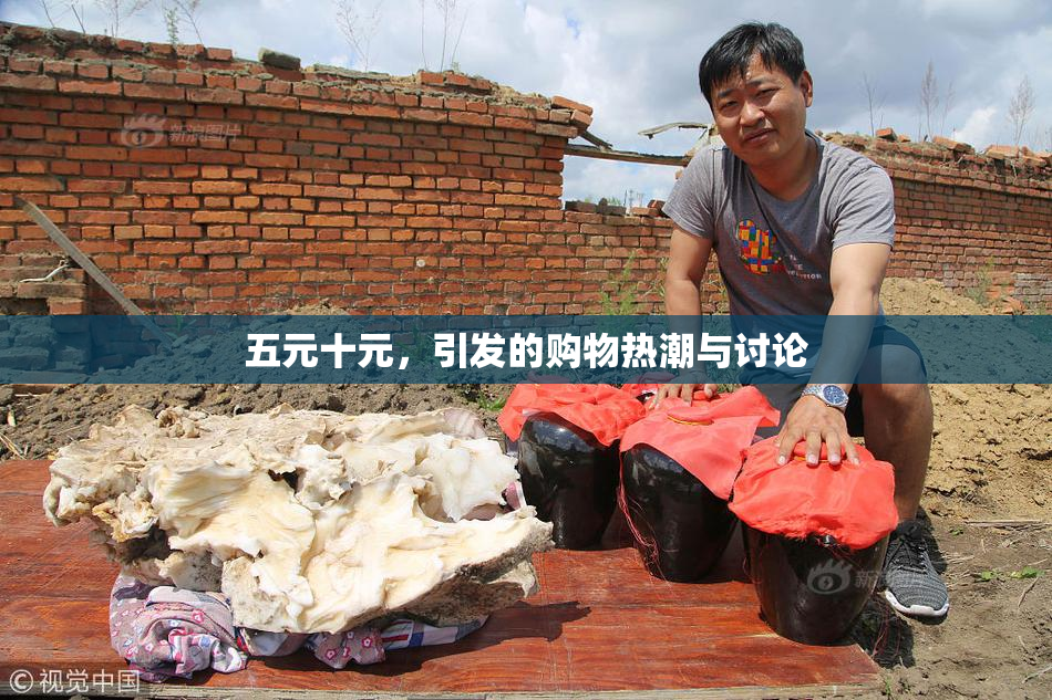五元十元，引发的购物热潮与讨论
